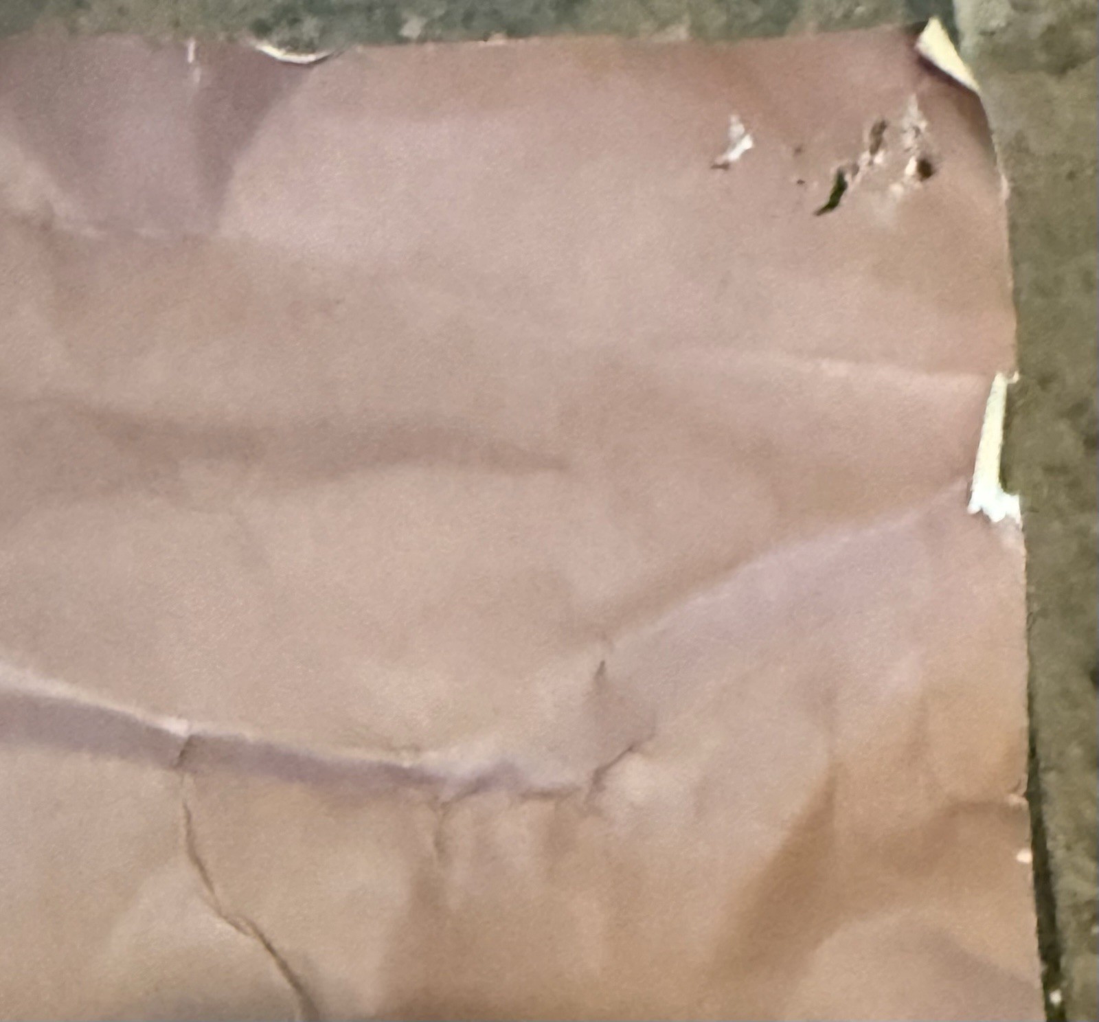 Vintage 1972 Alice Cooper Poster Studio One RARE 24 X 36