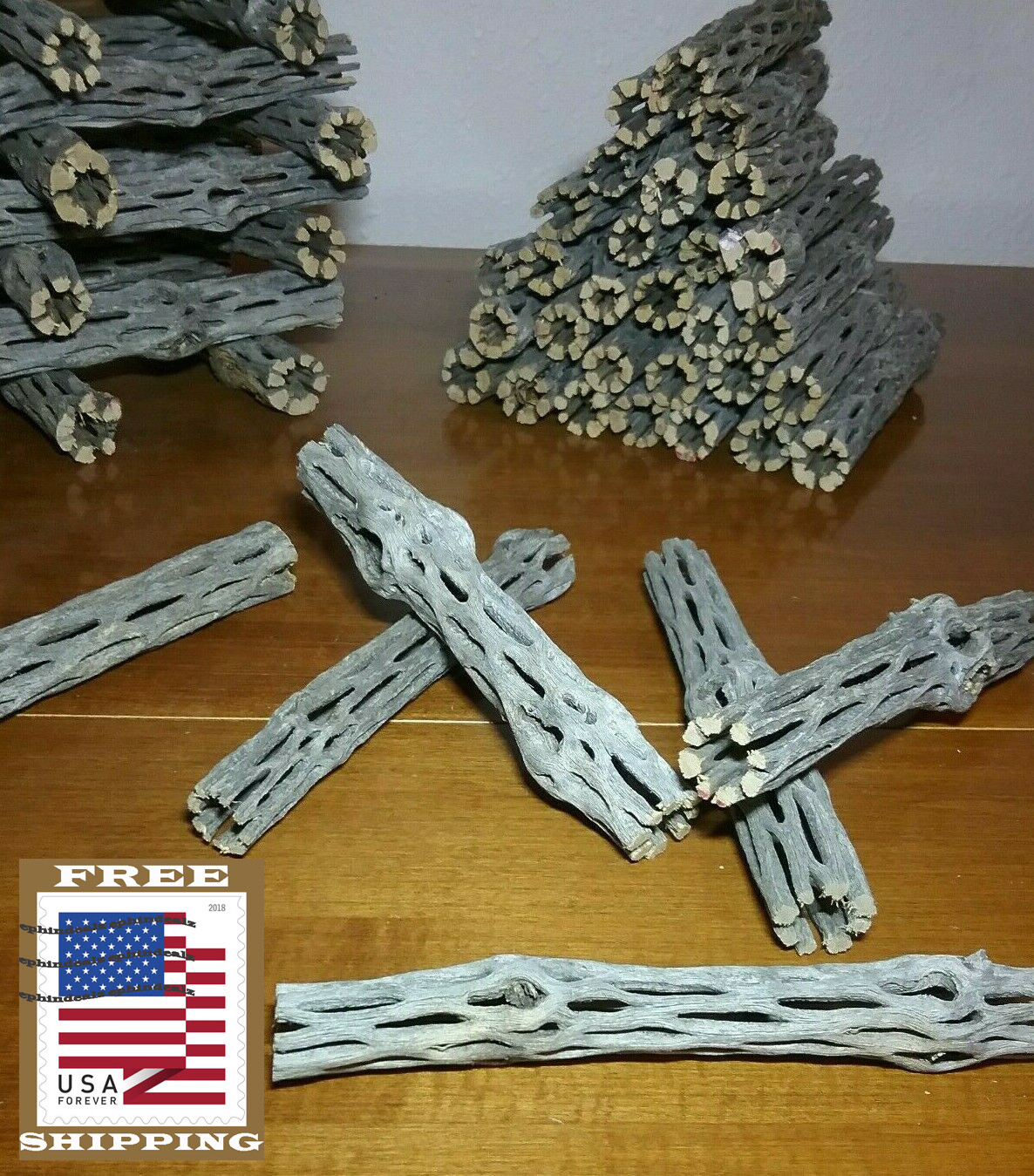 20 pcs 6" inch CHOLLA Wood Cactus | ORGANIC, Untreated | Shrimp Aquarium CRAFTS!