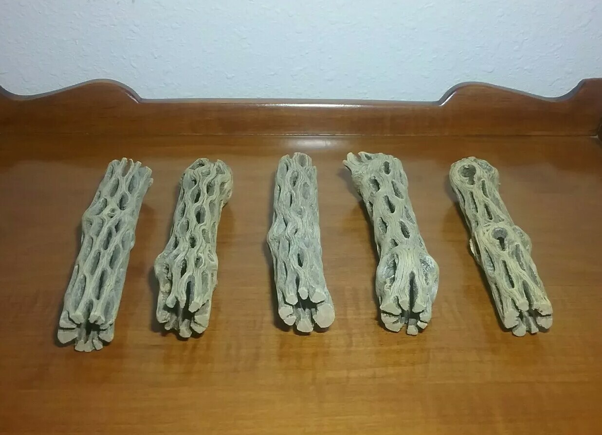 5 LARGE 6" inch CHOLLA Wood Cactus pieces | PRE-CLEANED | AQUARIUM | Air Plants