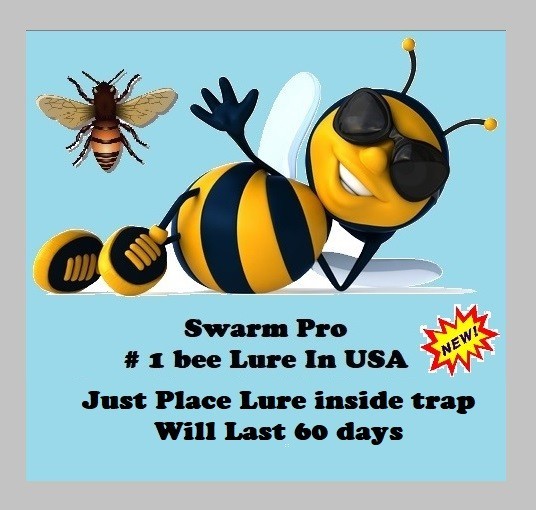 Carpenter bee. Attractant Super Lure - 2026 Works in the rain Keeps scent longer