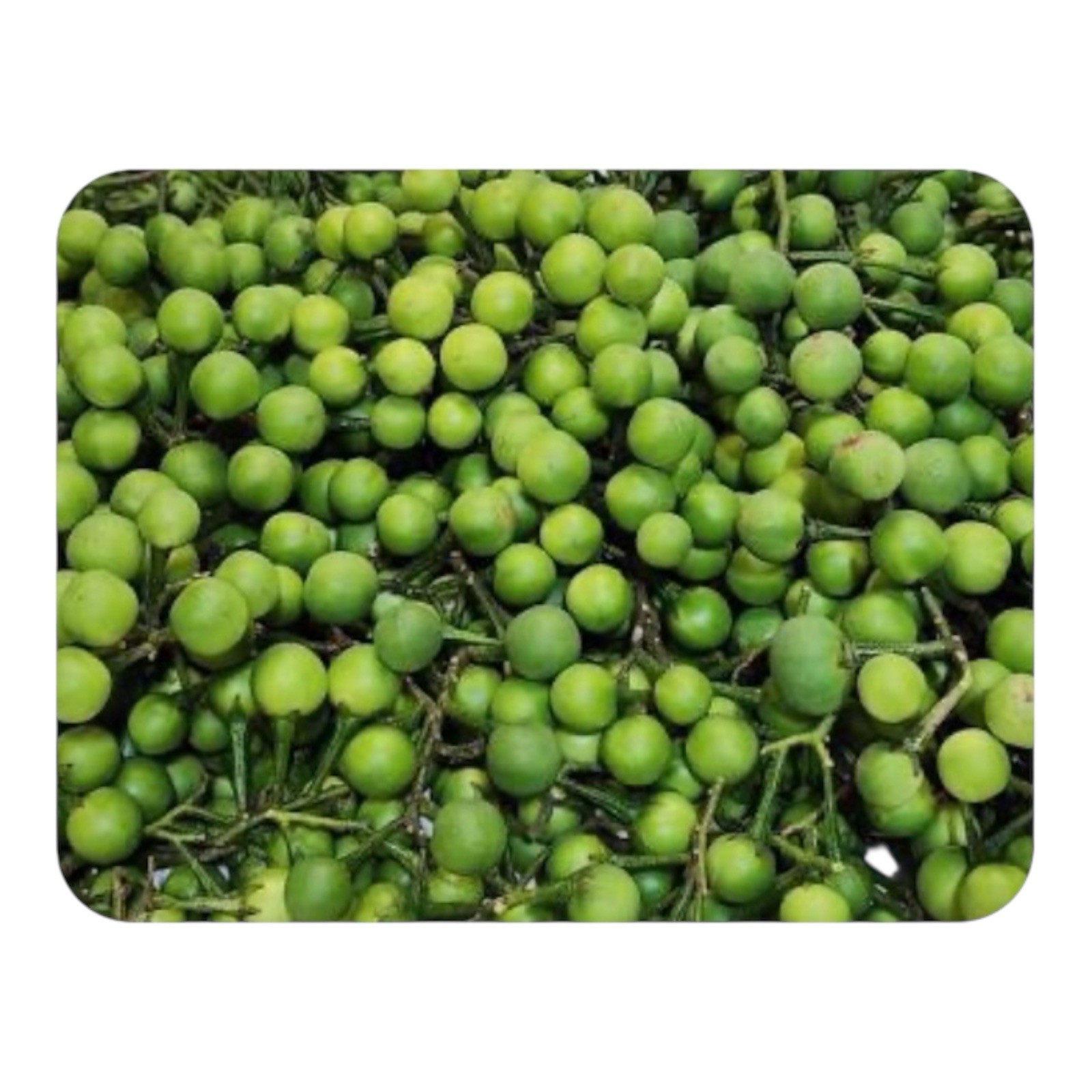 Grenn Zanmoret Chèch