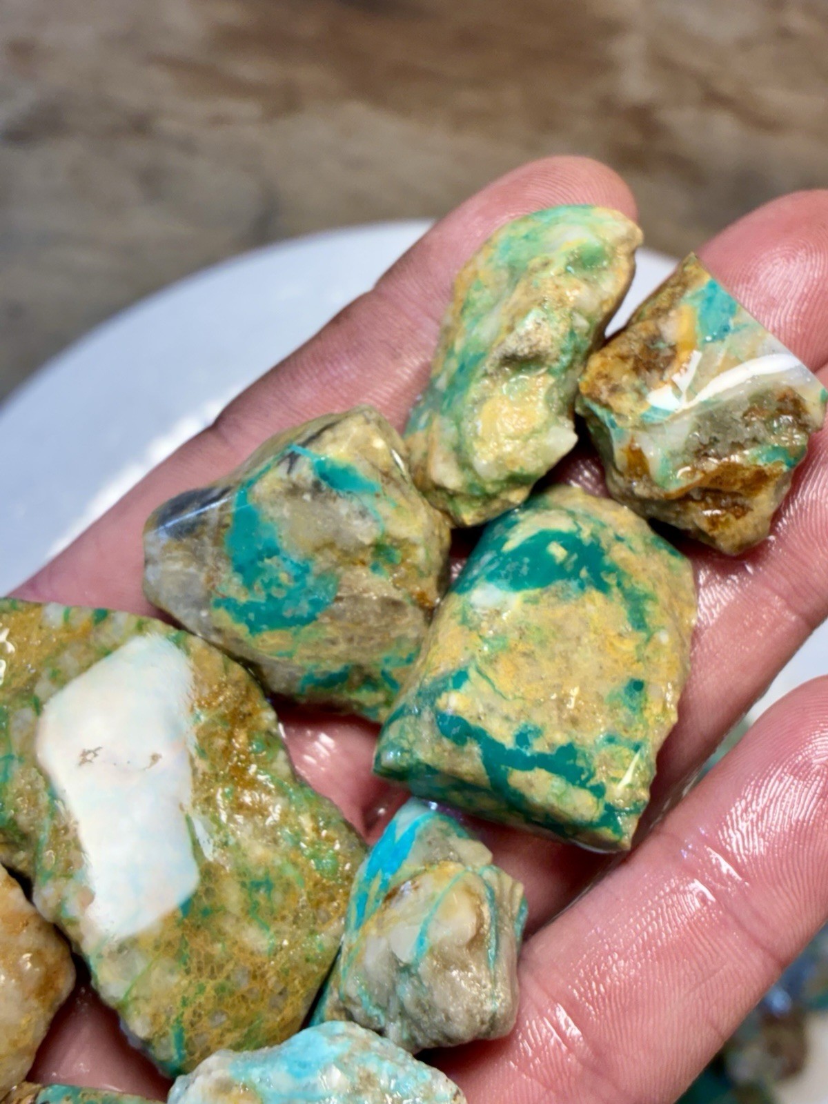 1 Lb of Skinny Turquoise Mountain Nugs! Now Available Again! ￼