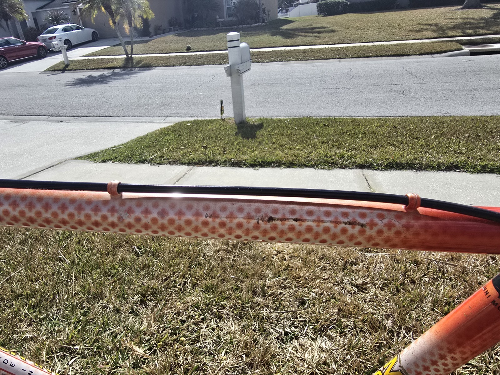 Gianni Motta Bike with Campagnolo Parts 53cm