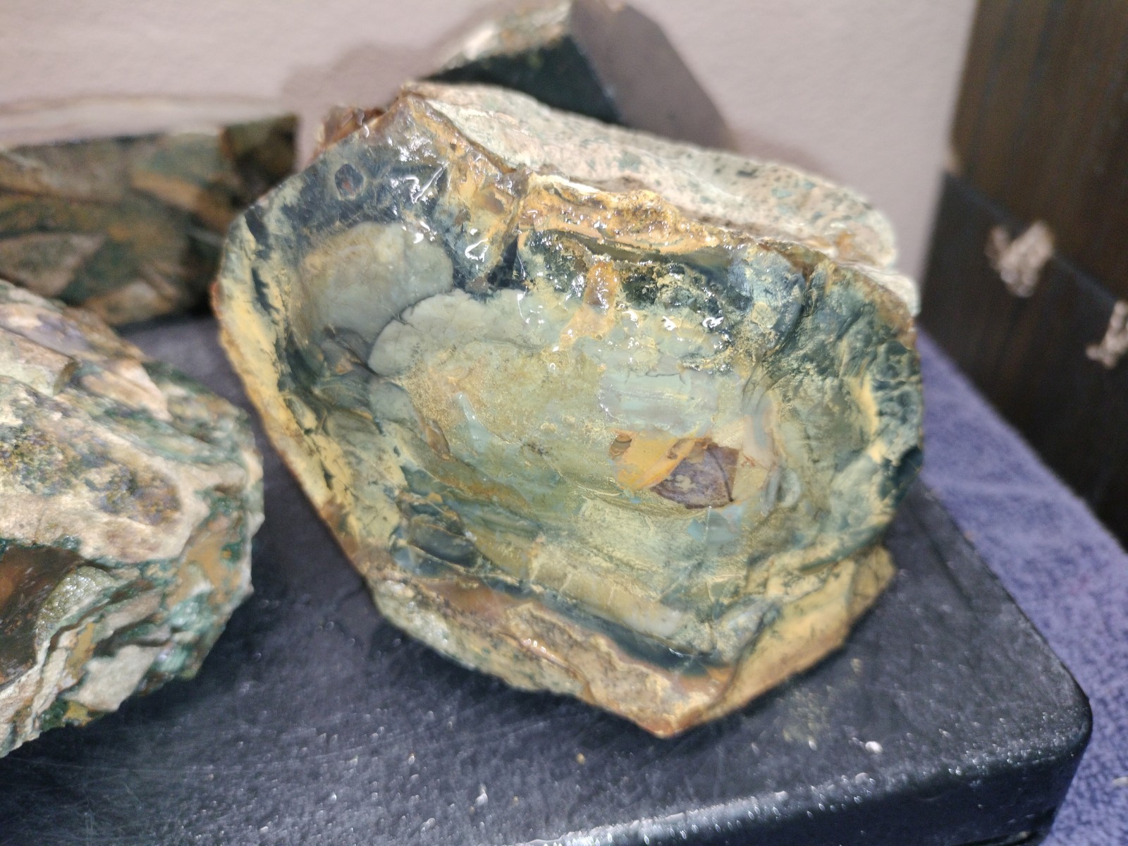 6.2LB ORBS Blue Mountain Picture of Jasper Rough 4pc Lot #23