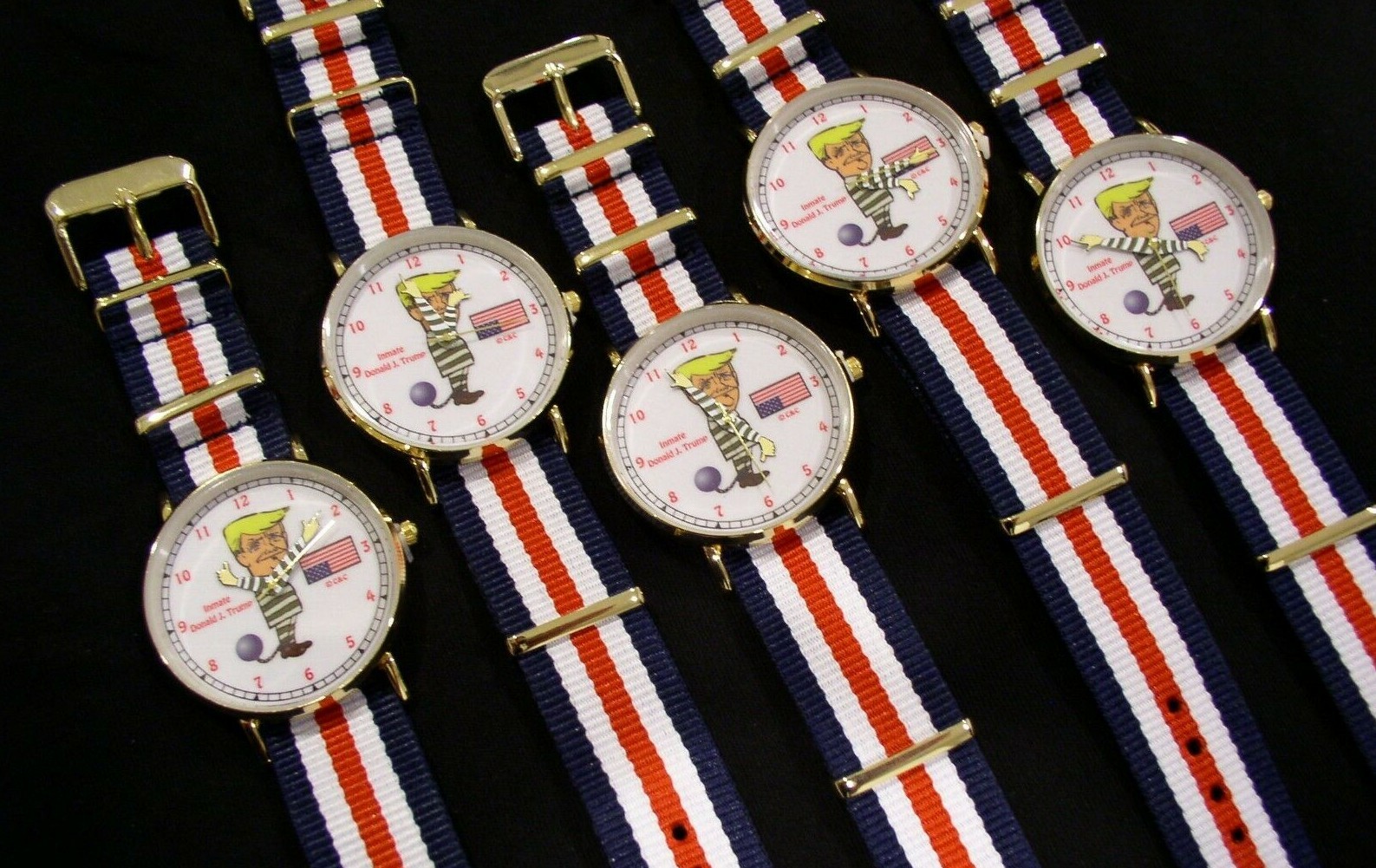 President Donald J. Trump Collectible Jailbird Watch