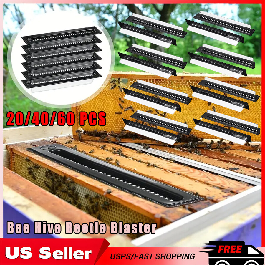 20/40/60×Hive traps Beetle Beekeeping tool For catching small beetles in beehive