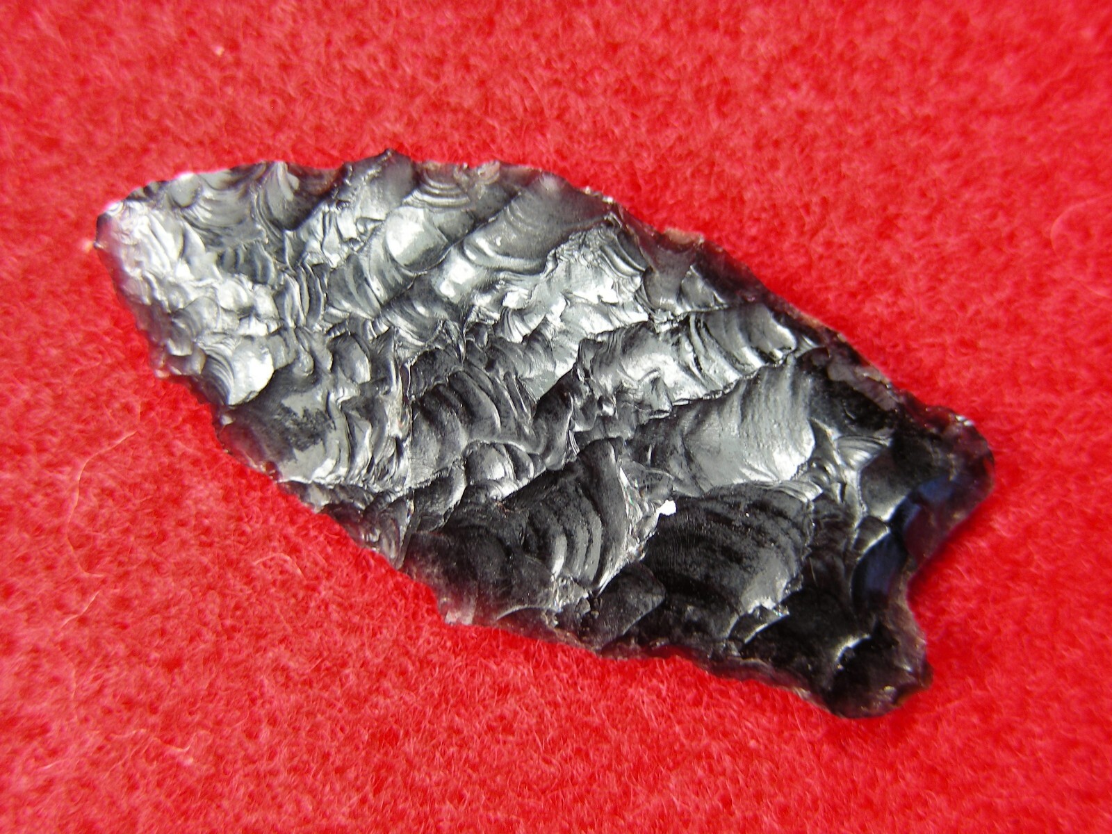 HUMBOLDT 1-1/2" CALIFORNIA Authentic Indian Relics