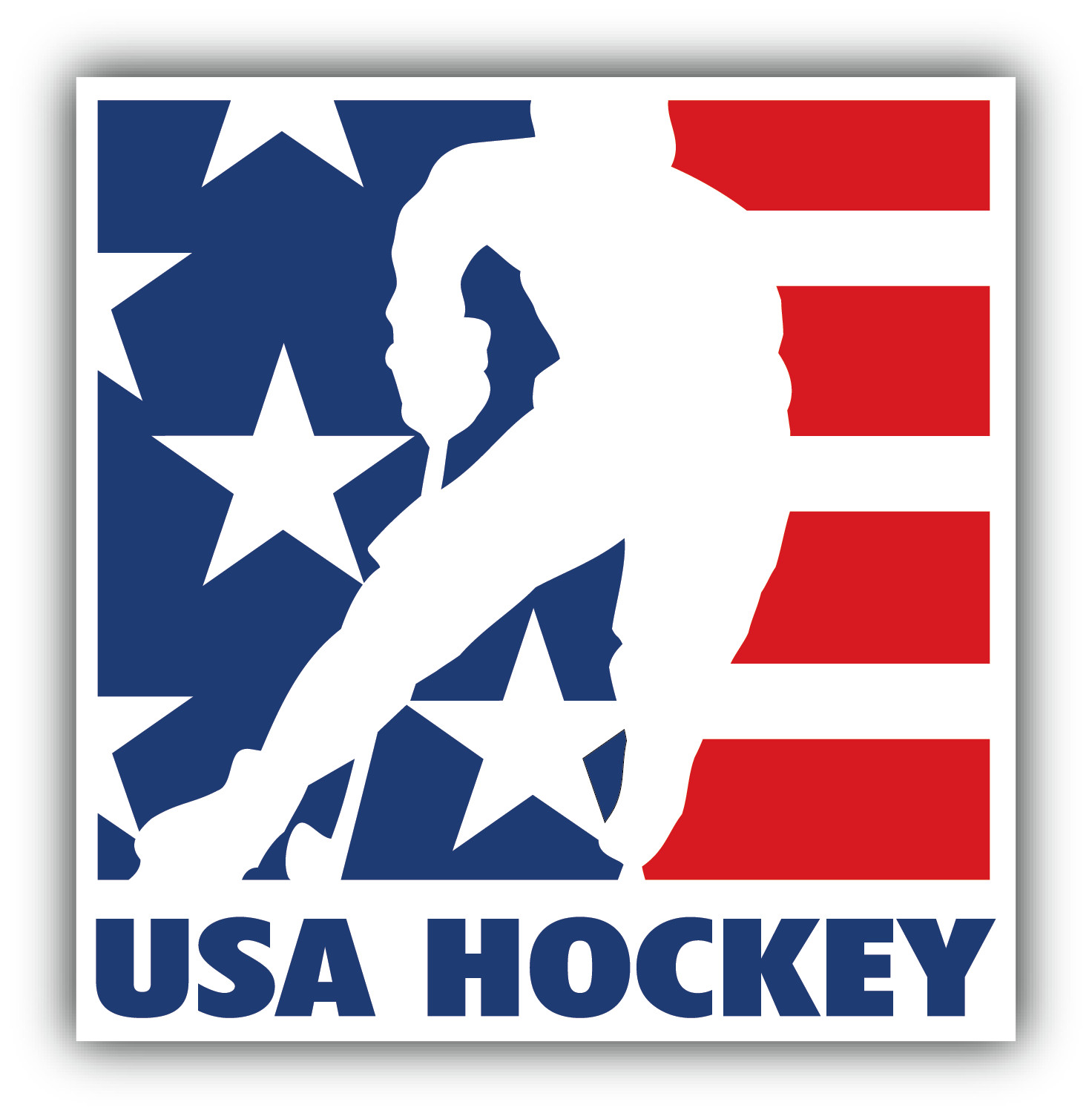 USA National Hockey Team  Logo Vinyl Car Sticker Decal Bumper Wall Cornhole
