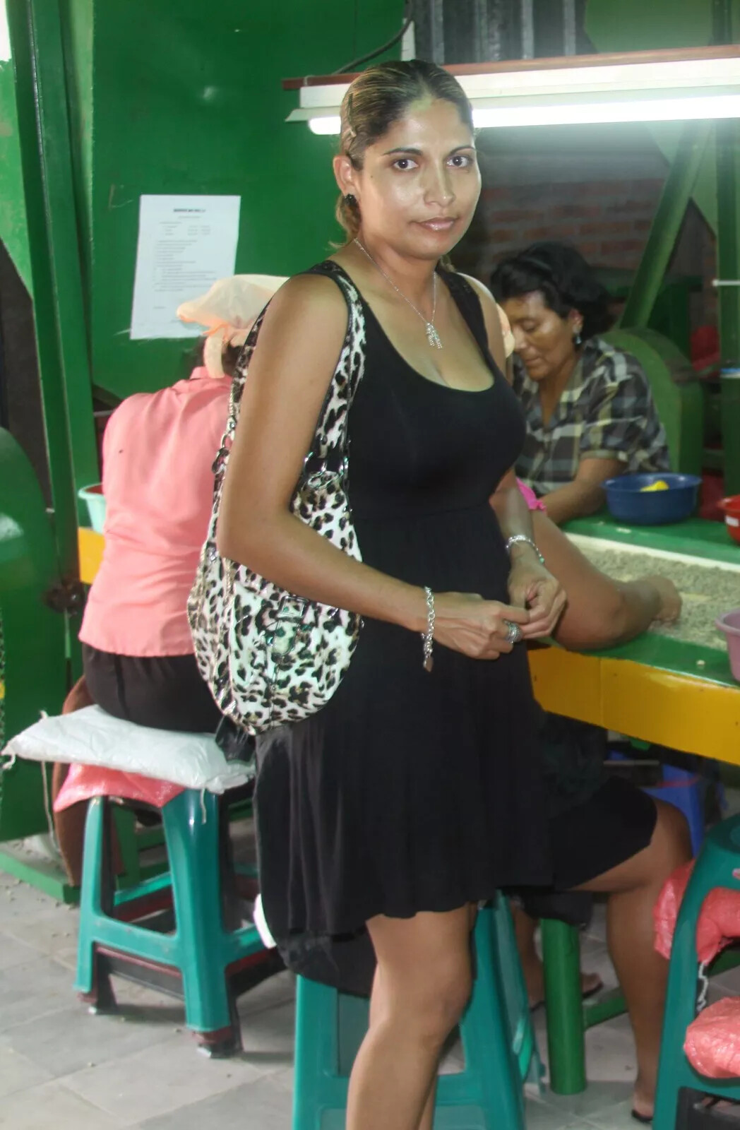 100% JAMAICAN BLUE MOUNTAIN COFFEE BEANS MEDIUM ROASTED 2 TO 12 POUNDS