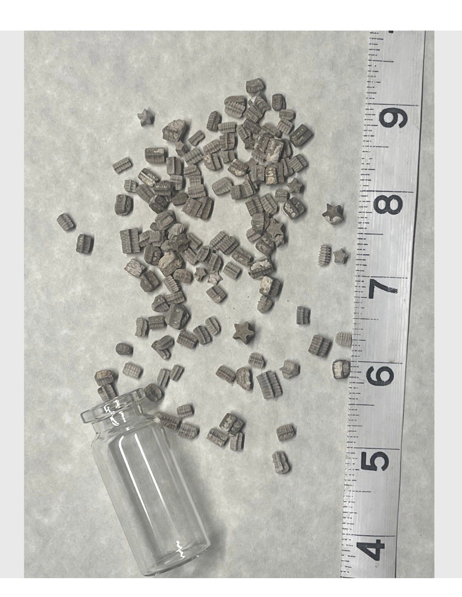 Utah Fossil Star Crinoid Stems Pentacrinus Jurassic Age Echinoderm