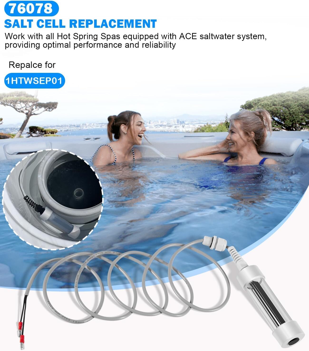 76078 Scepter Salt Cell for Hot Spring ACE Spas 25% Larger Plate Area 1HTWSEP01