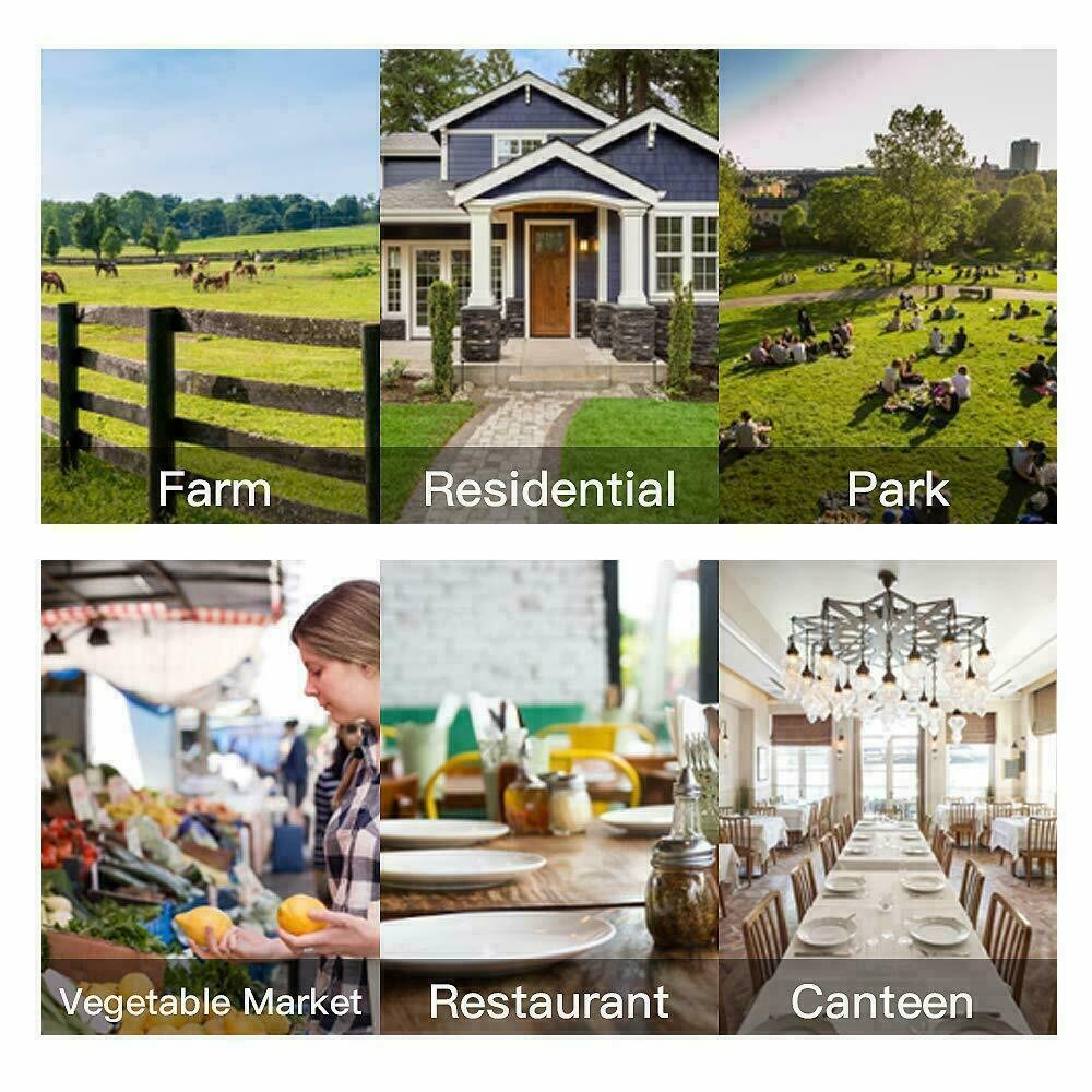 The Ranch Fly Trap Reusable Outdoor Fly Trap Killer Catcher Pest Bug Catch Lot