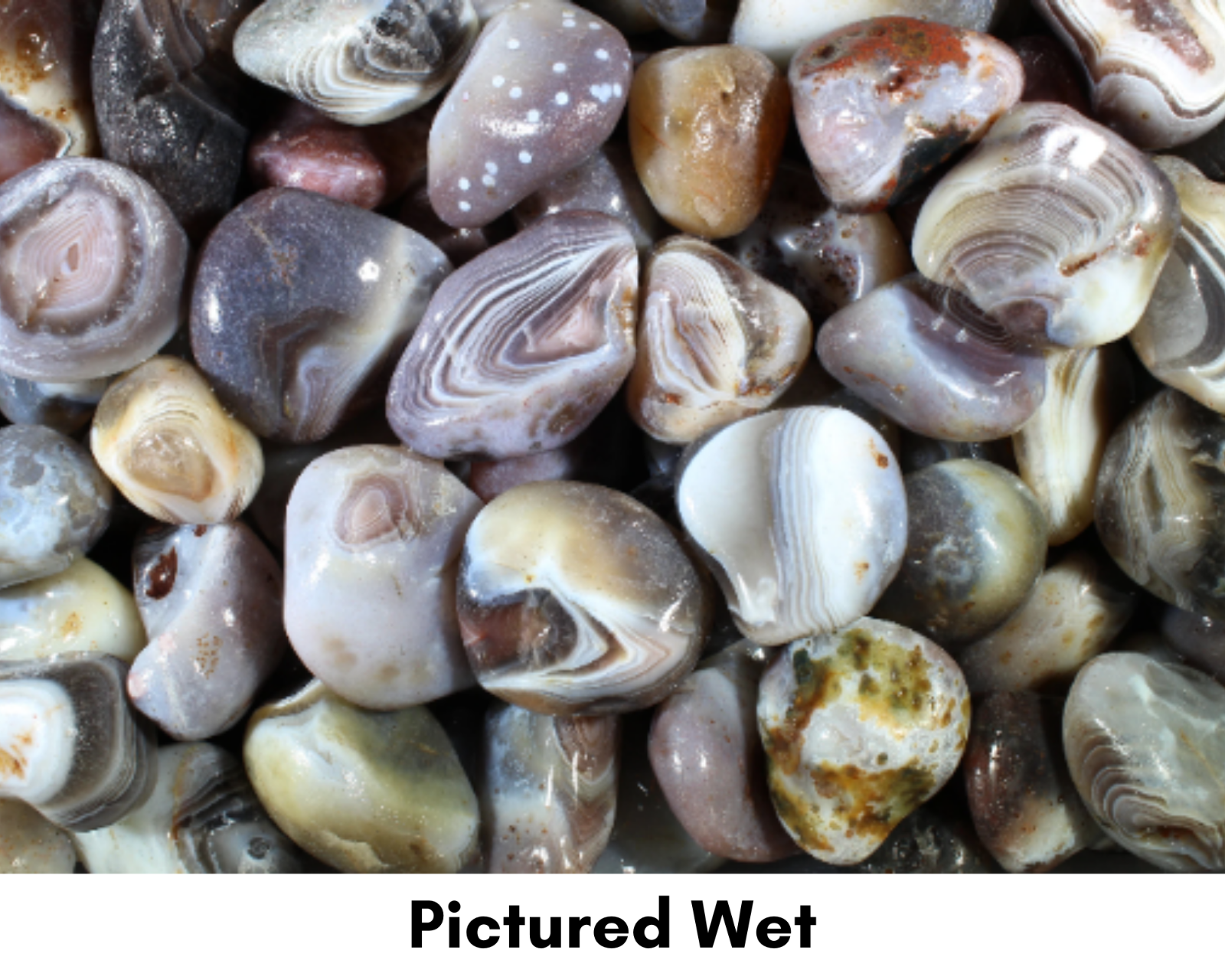 Gray Botswana Agate - Rough Rocks for Tumbling - Bulk Wholesale 1 LB+ options