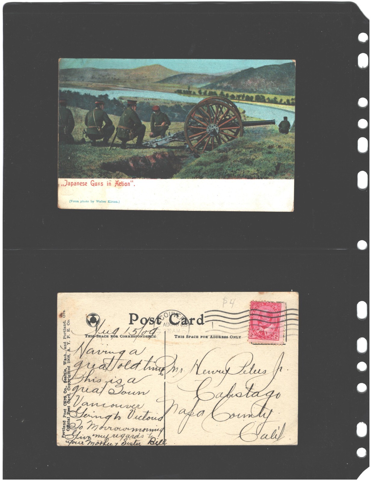 **ANCHOR 25 Stock Pages 2S (2-rows)- Stock Sheets/ Black sheets .FREE SHIPPING.