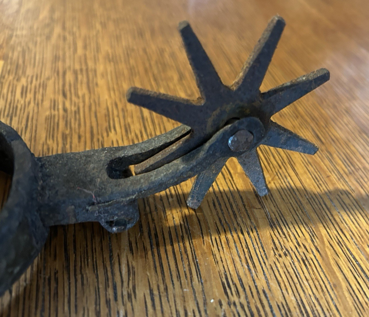 Western Type Spur with 8 Point Rowel