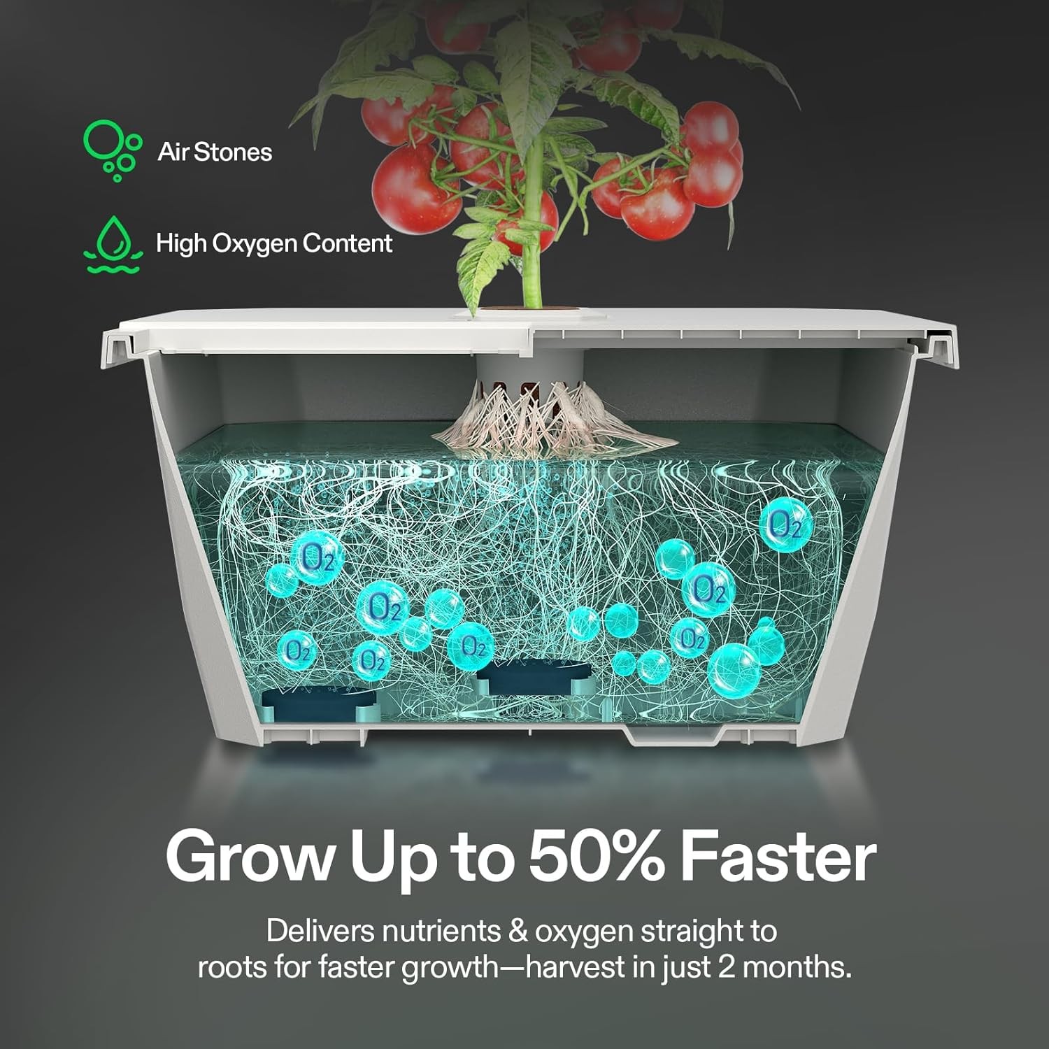 VIVOSUN VGrow Smart Grow Box Complete Grow Tent Kit w/ Automated DWC Hydroponics