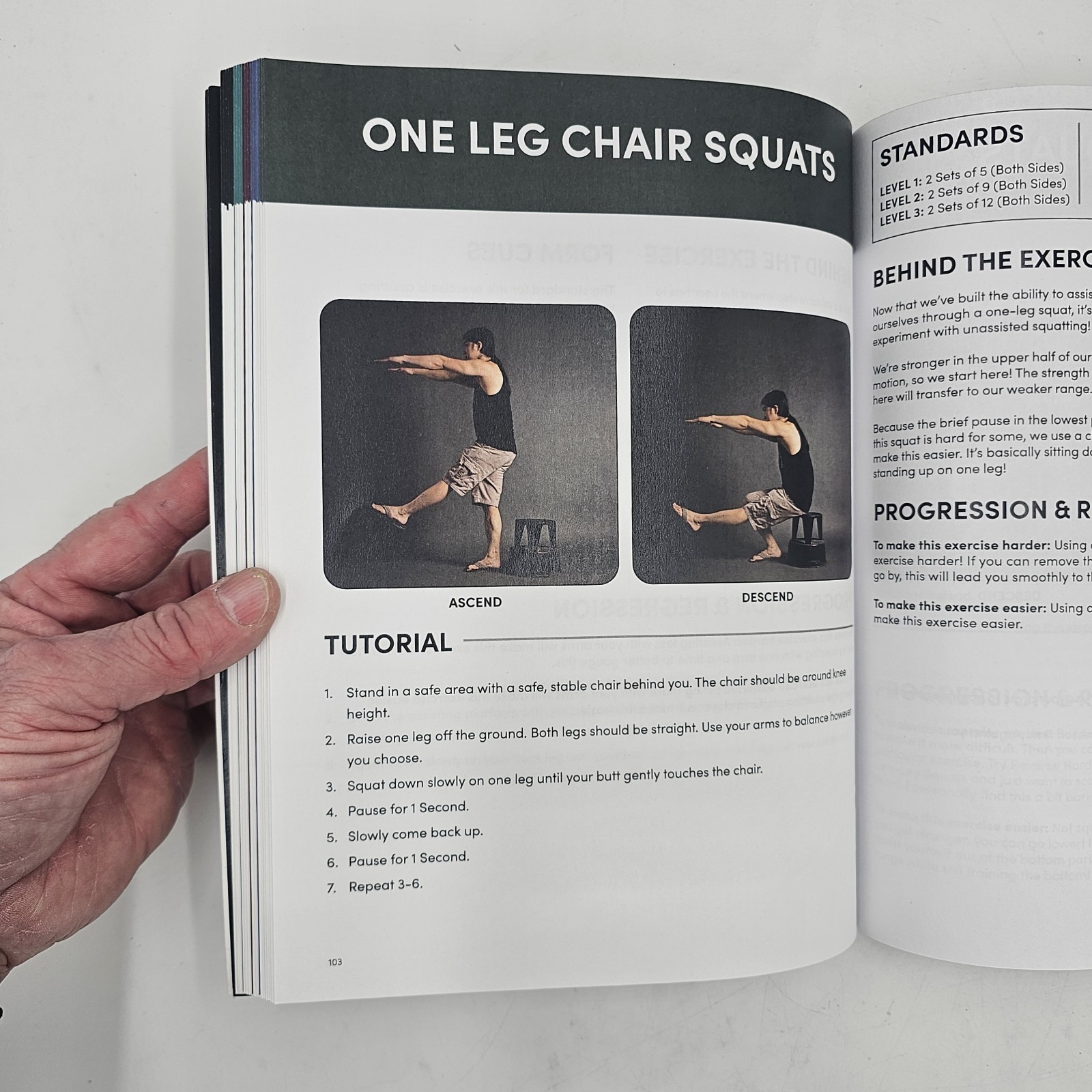 Hybrid Calisthenics by Hampton Liu | Bodyweight Fitness Workout Guide 2023 VG+