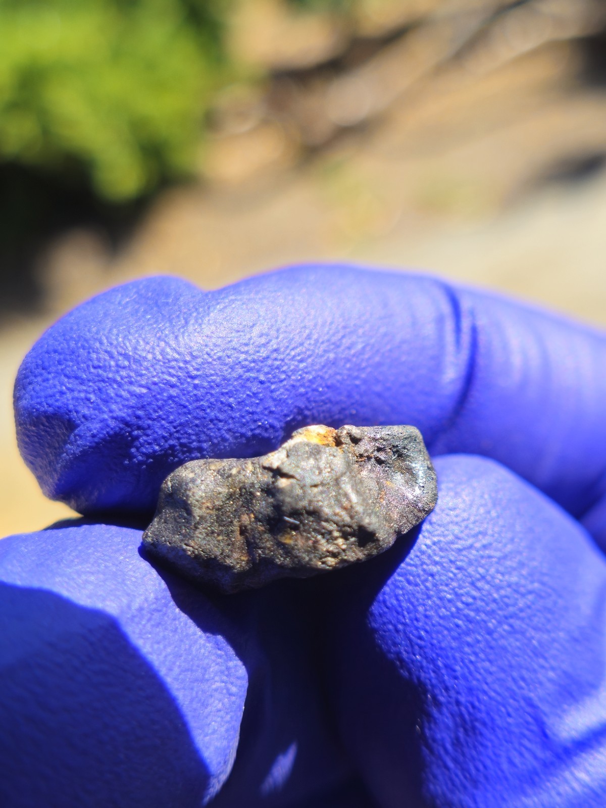 Chelyabinsk Meteorites 2.213g Fresh Crusted Individual COA Russia