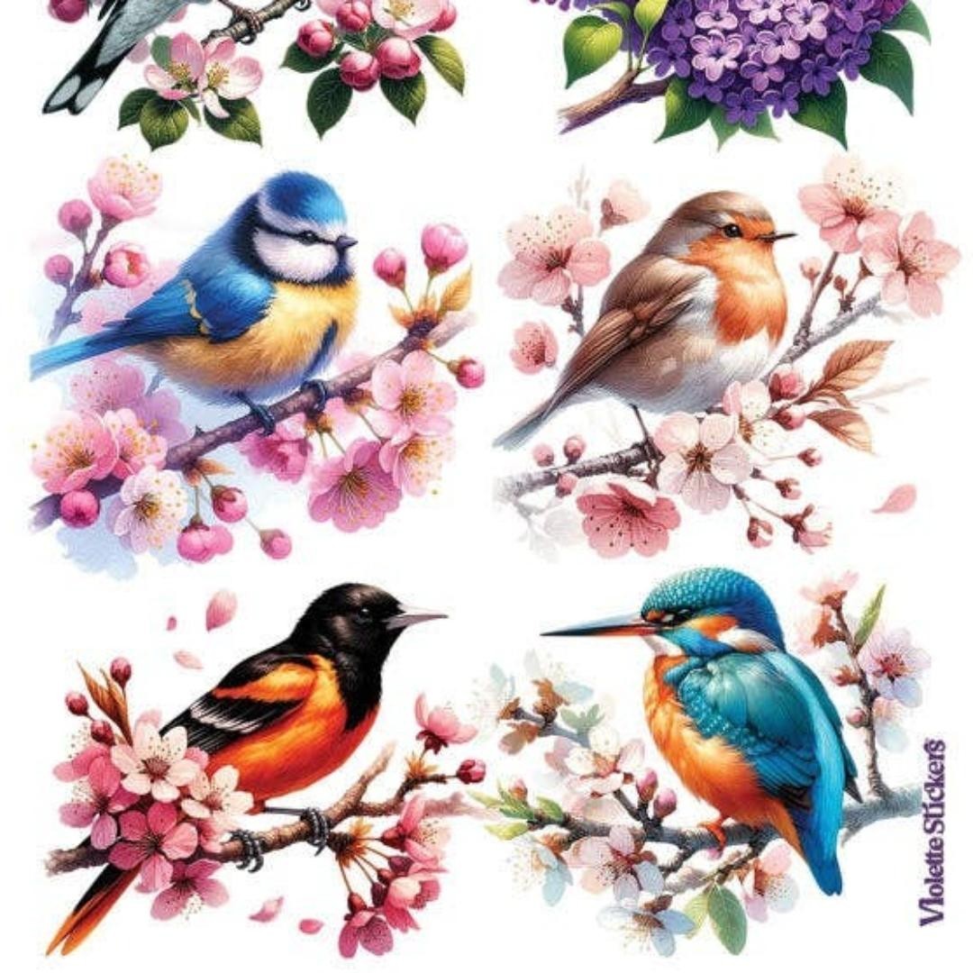 Violette Stickers - Colorful Birds & Flowers Sticker Sheet - Planners & Crafts