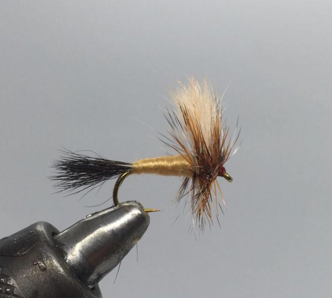 One Dozen (12) - Ausable Wulff - Dry Fly