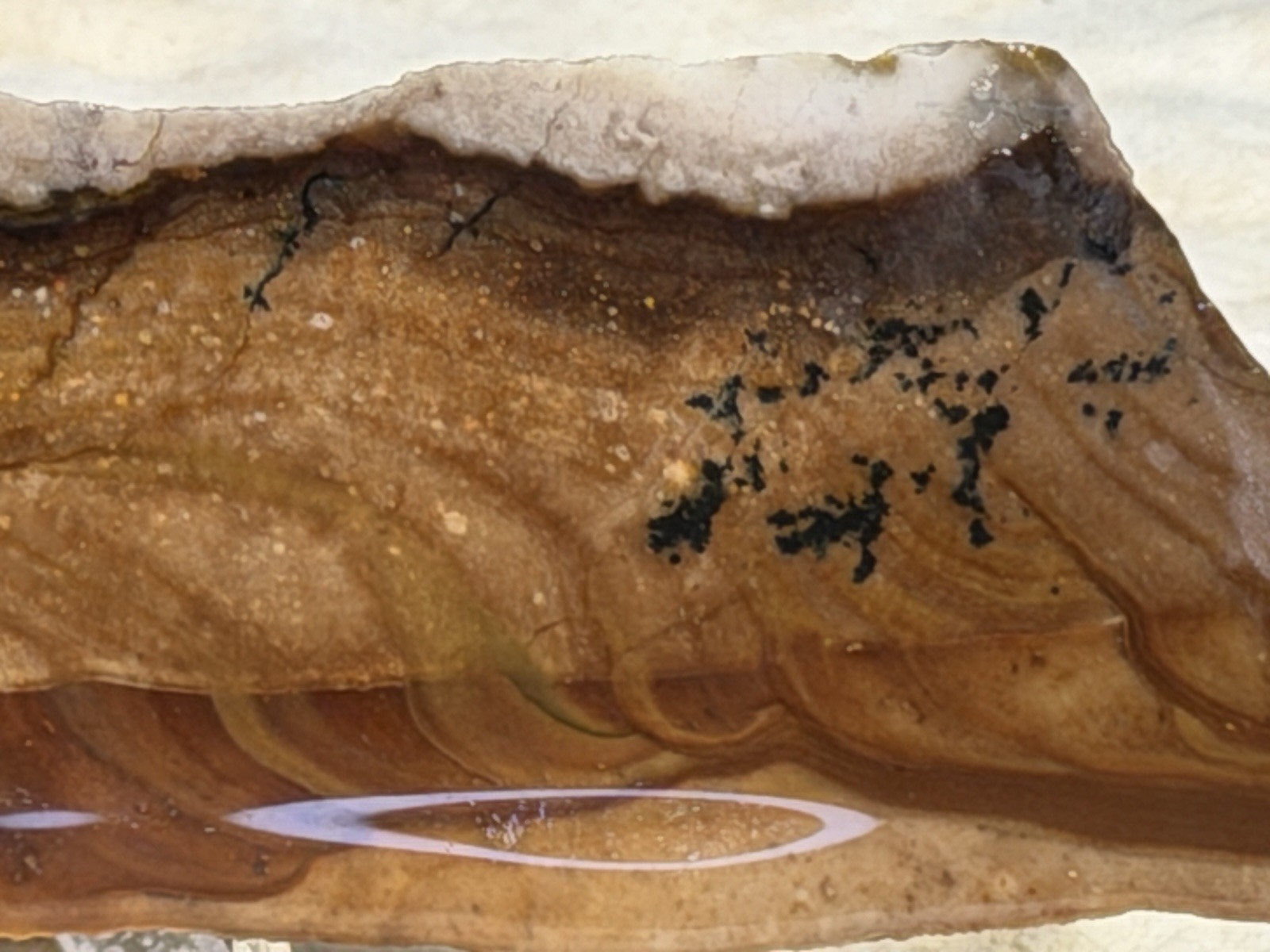 Dendritic Biggs Jasper Slab Set, Lot #307