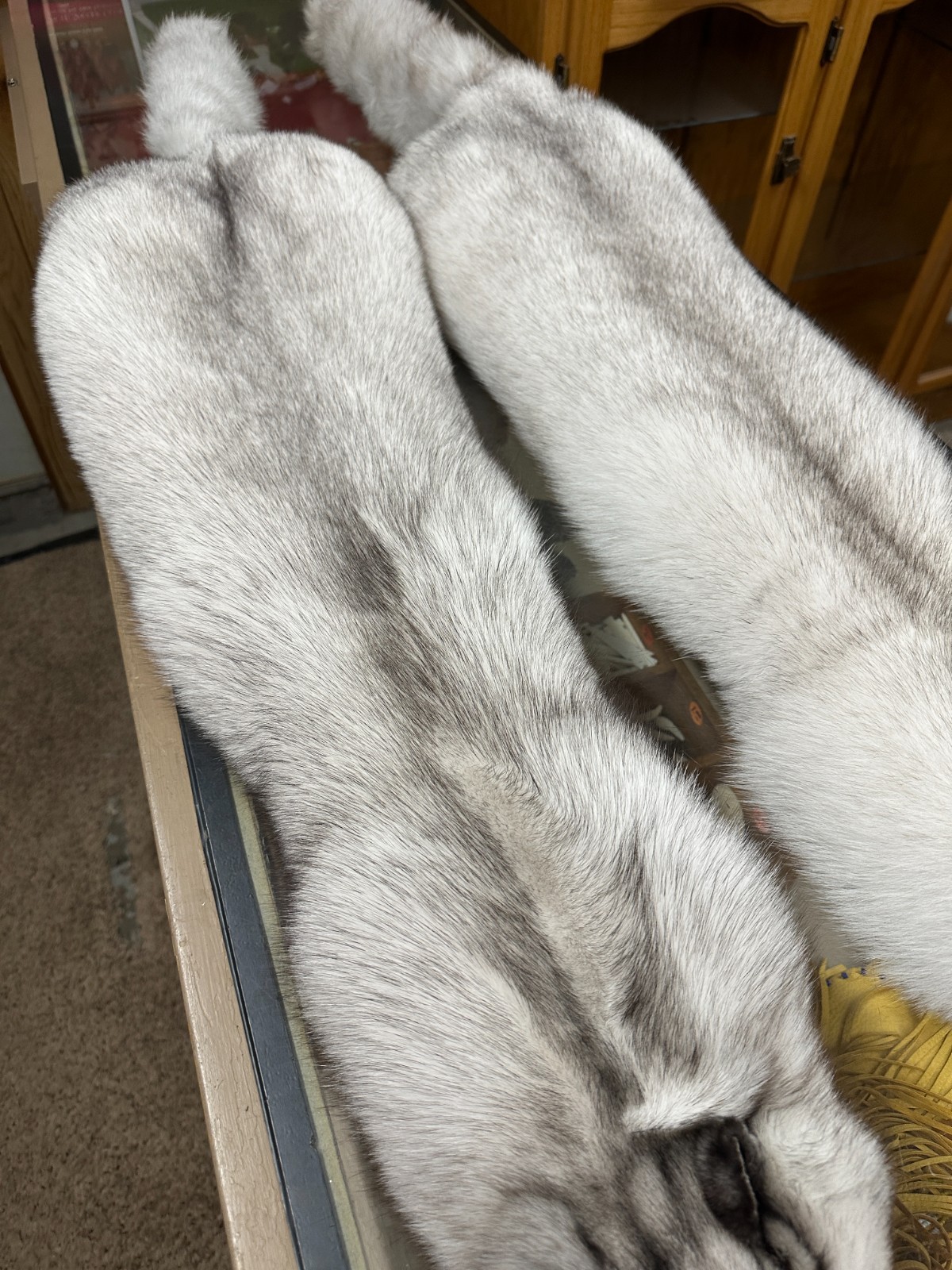 BLUE FOX EXTRA EXTRA HEAVY GORGOUS TOP OF THE LINE FROM NORWAY