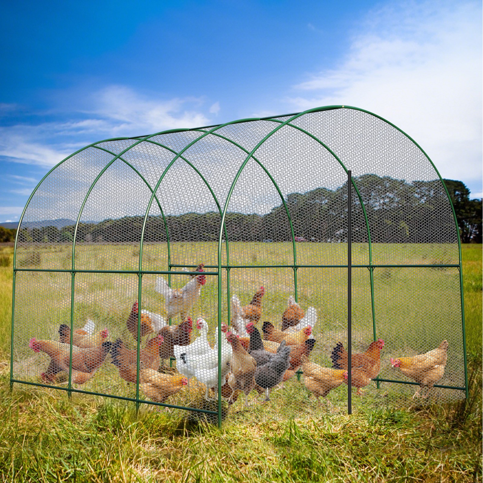 Large Size Steel Garden Arch Rose Arbor Climbing Plant Grape Support Frame Yard