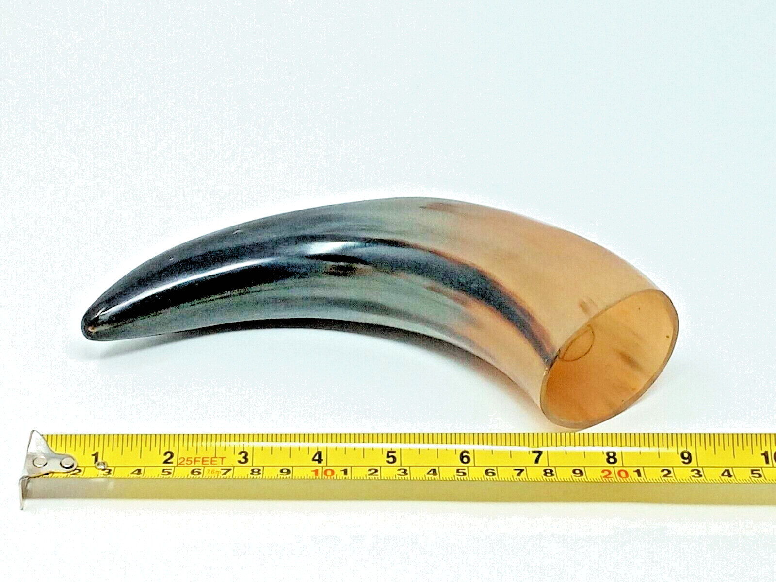 Drinking Horn Meadery Natural Cow / Steer horn euc black and blonde color