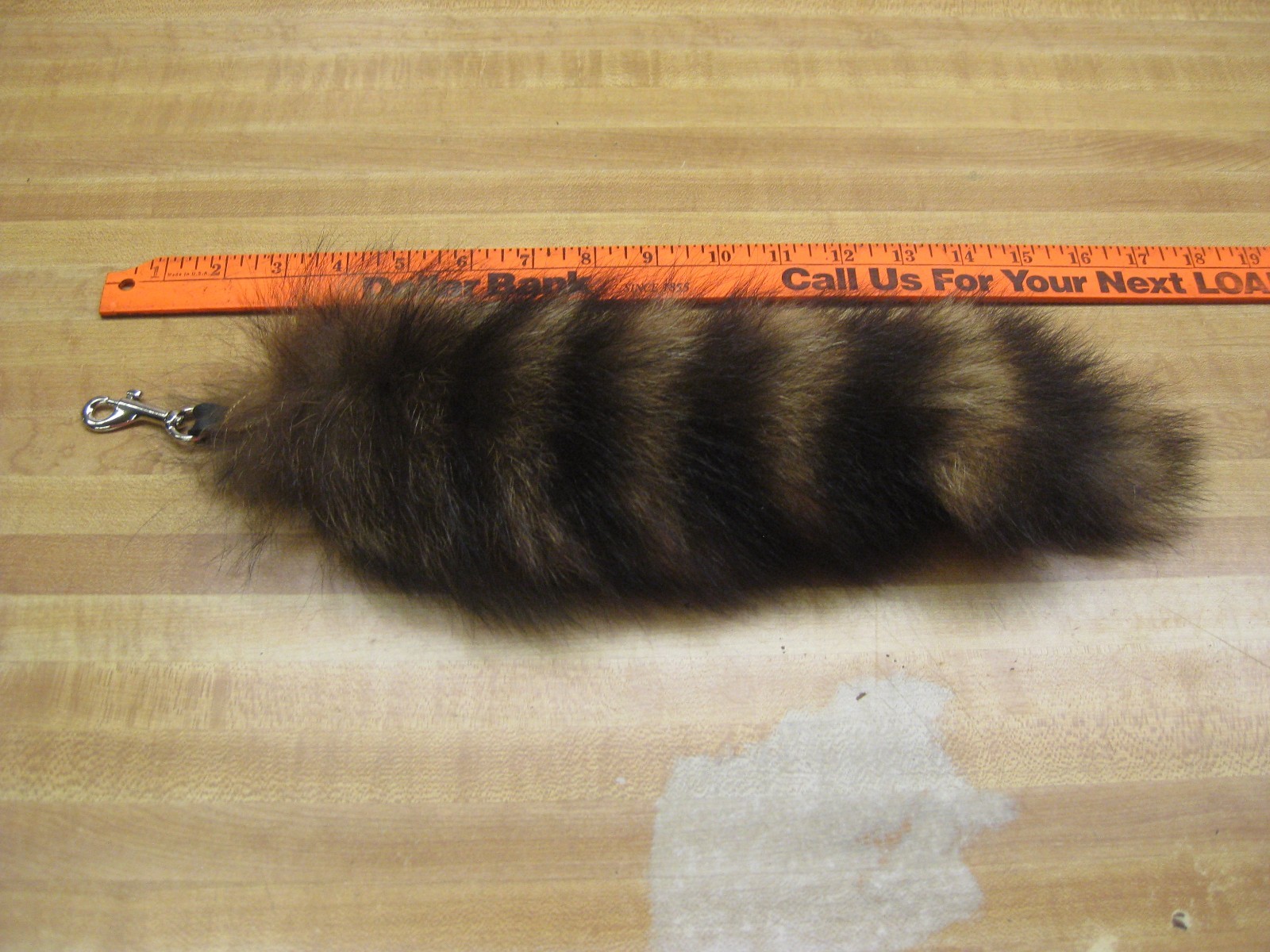Jumbo Tanned Raccoon Tail Key Chain / Trapping / Fur Coats