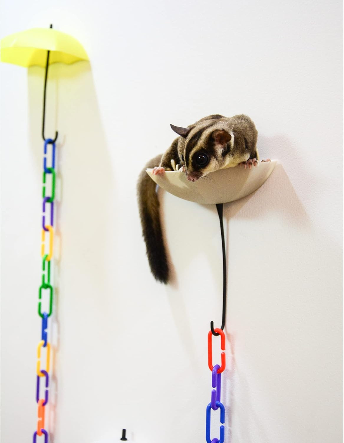 6Pack Sugar gliders platform,140pcs C-Clips climbing chain for sugar gliders，bir