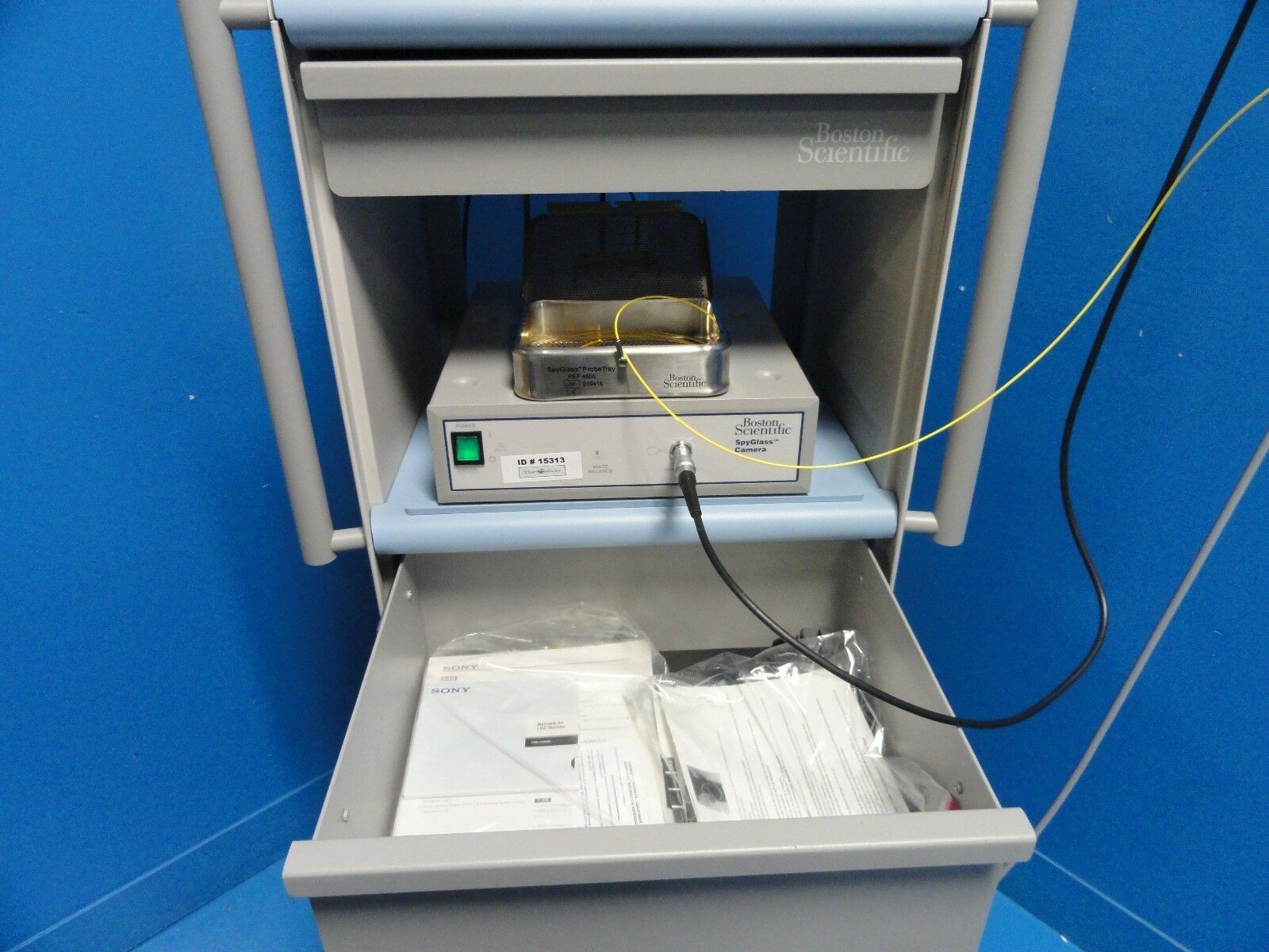 2011 Boston Scientific Spyglass Direct Visualization ~15313