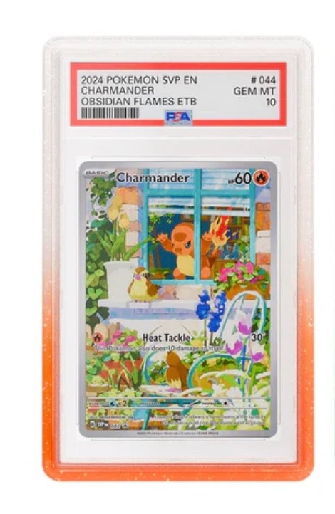 GradedGuard PSA Graded Card Case Guard Protector FRUIT PUNCH Limited Edition