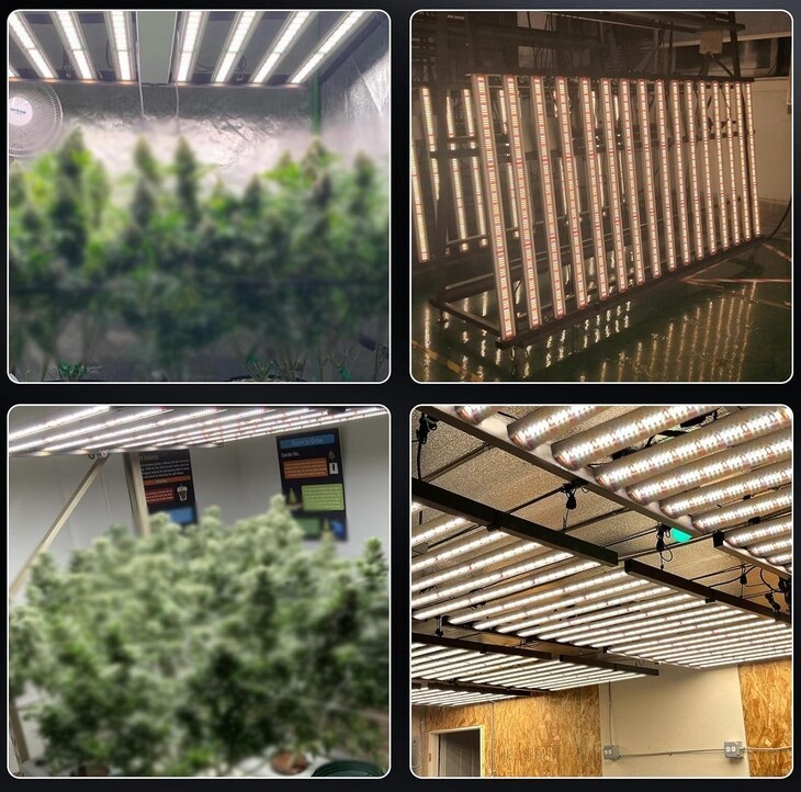 1000W Spider LED Grow Light Bars Full Spectrum for Indoor Plants Commercial Lamp