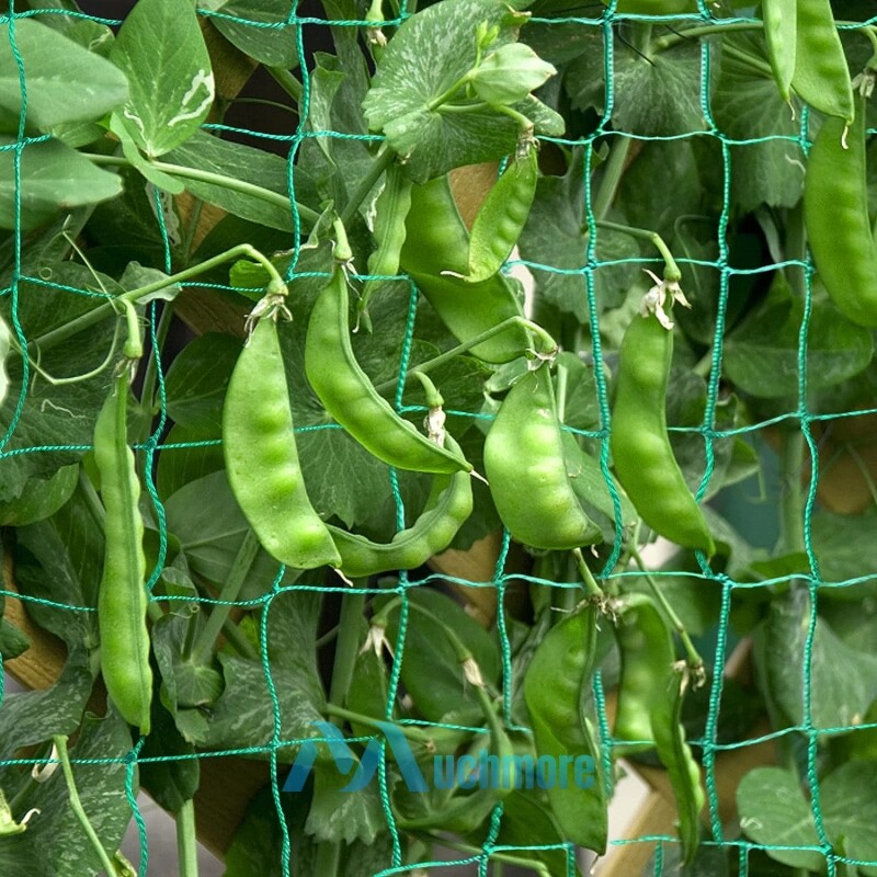 Heavy-Duty Growing Net Garden Trellis Netting for Vine Plants Fruits Flowers Veg