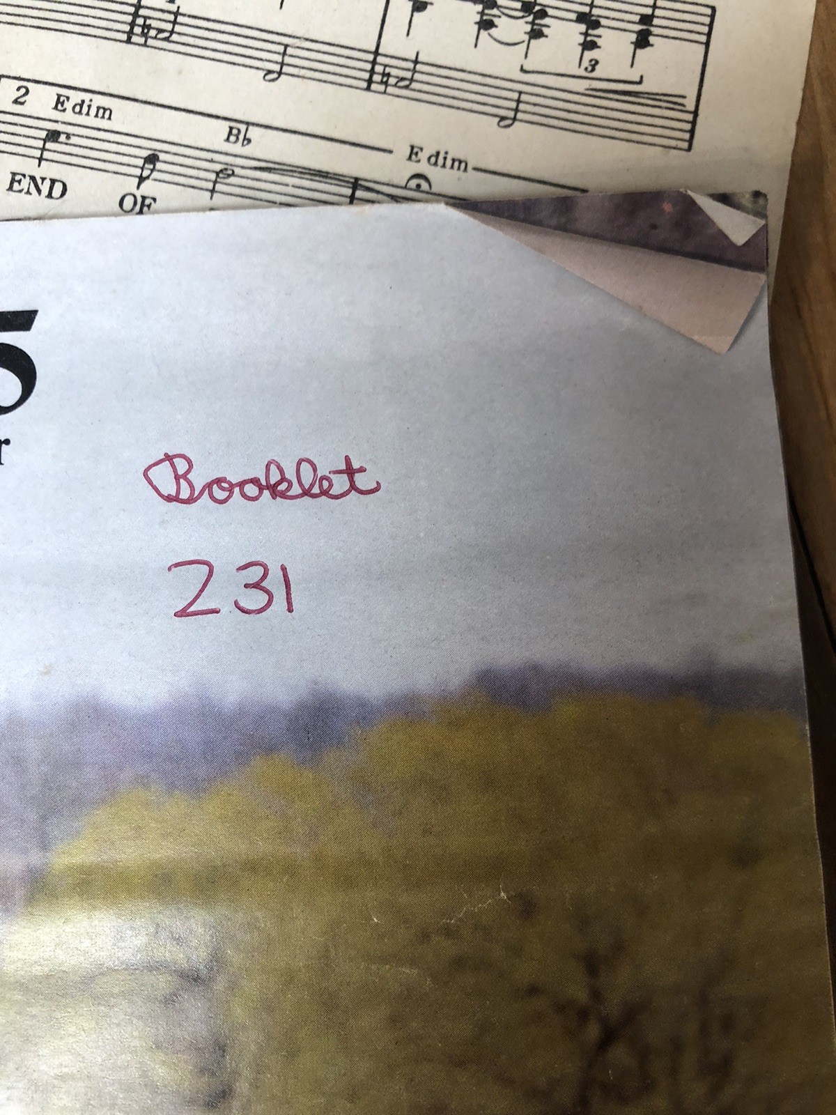 1965 Chevrolet Chevelle Malibu Super Sport SS Wagon 300 Original Sales Brochure