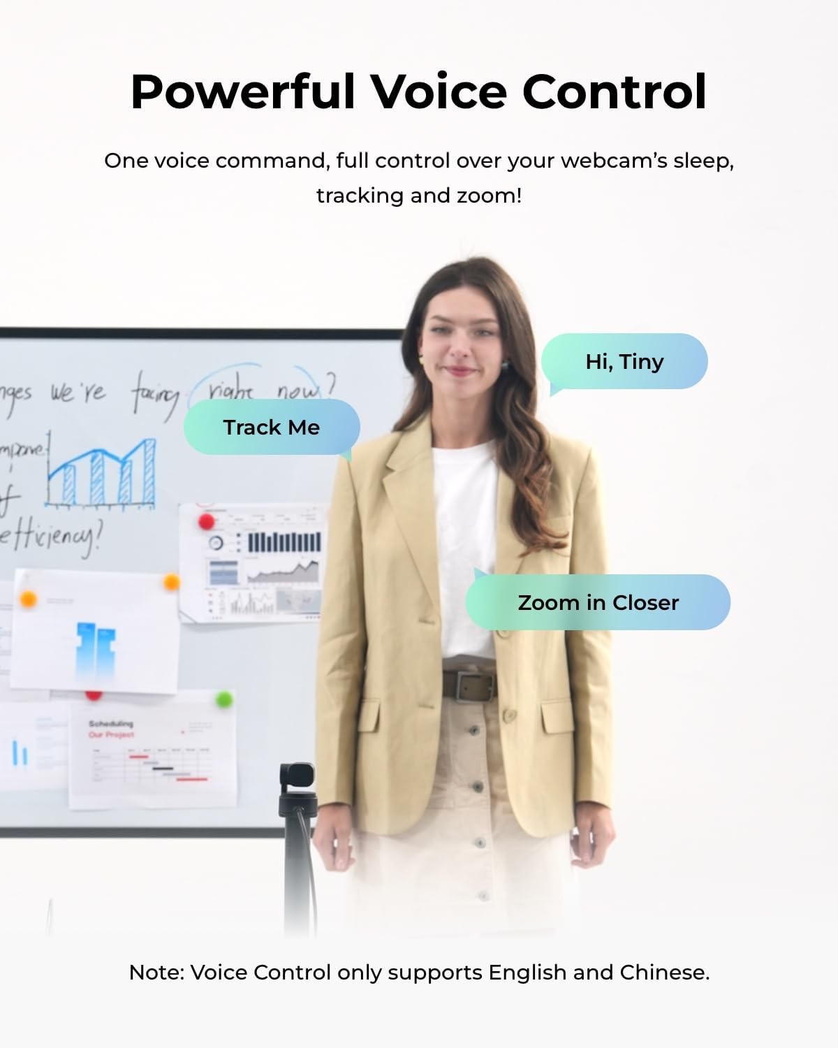 US OBSBOT Tiny 3 Lite AI-Powered Spatial Audio 4K Webcam for Laptop, Streaming