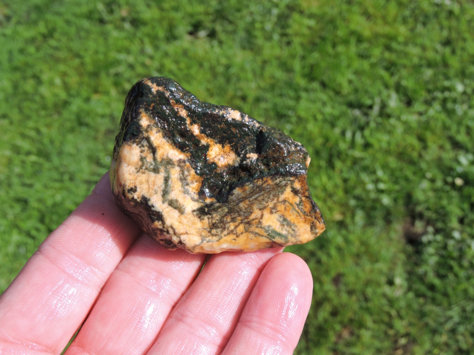 Lot of 🌈 Tumbler Size RAINBOW MIXED STONES from PNW (11.5 lbs) WEST COAST ROCKS