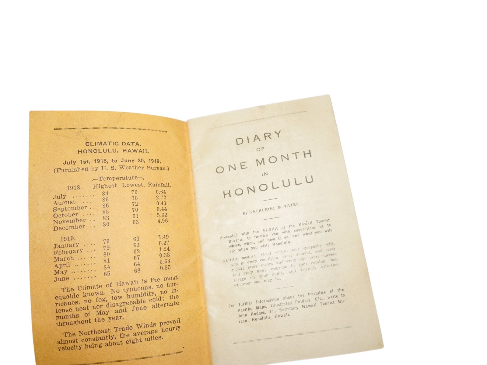 Original WWI 1919 A Month in Honolulu HAWAII Diary Book Q6
