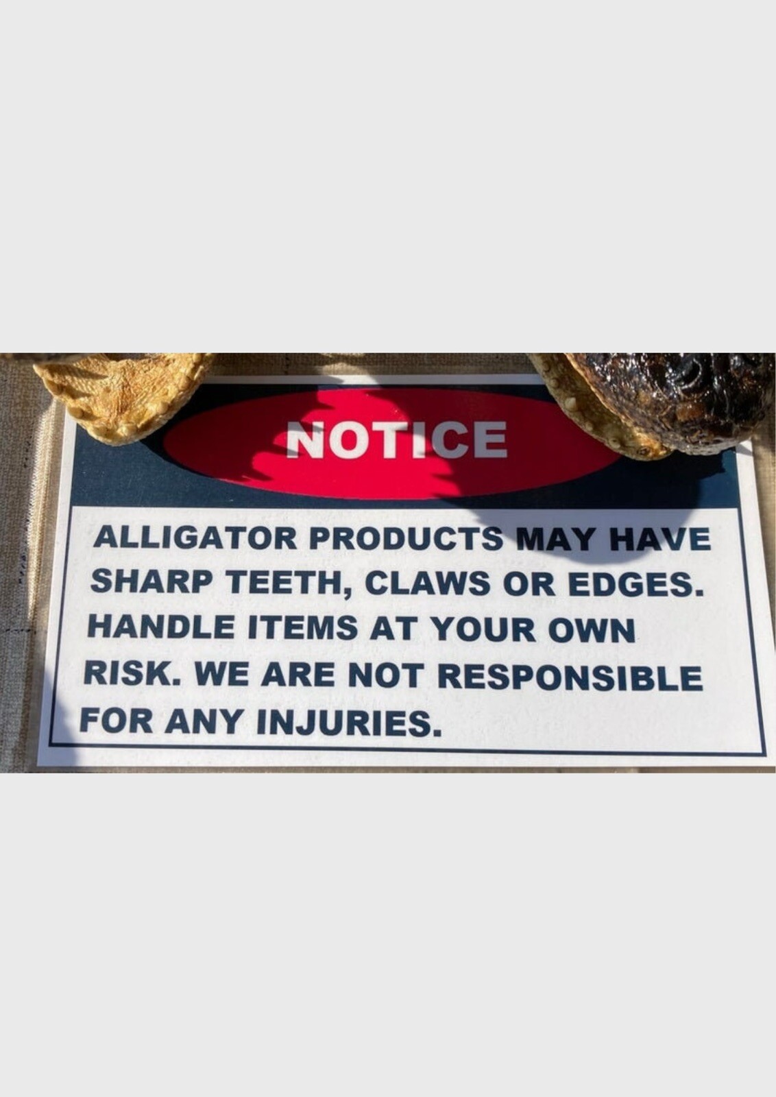 Alligator Bones 2 Pounds