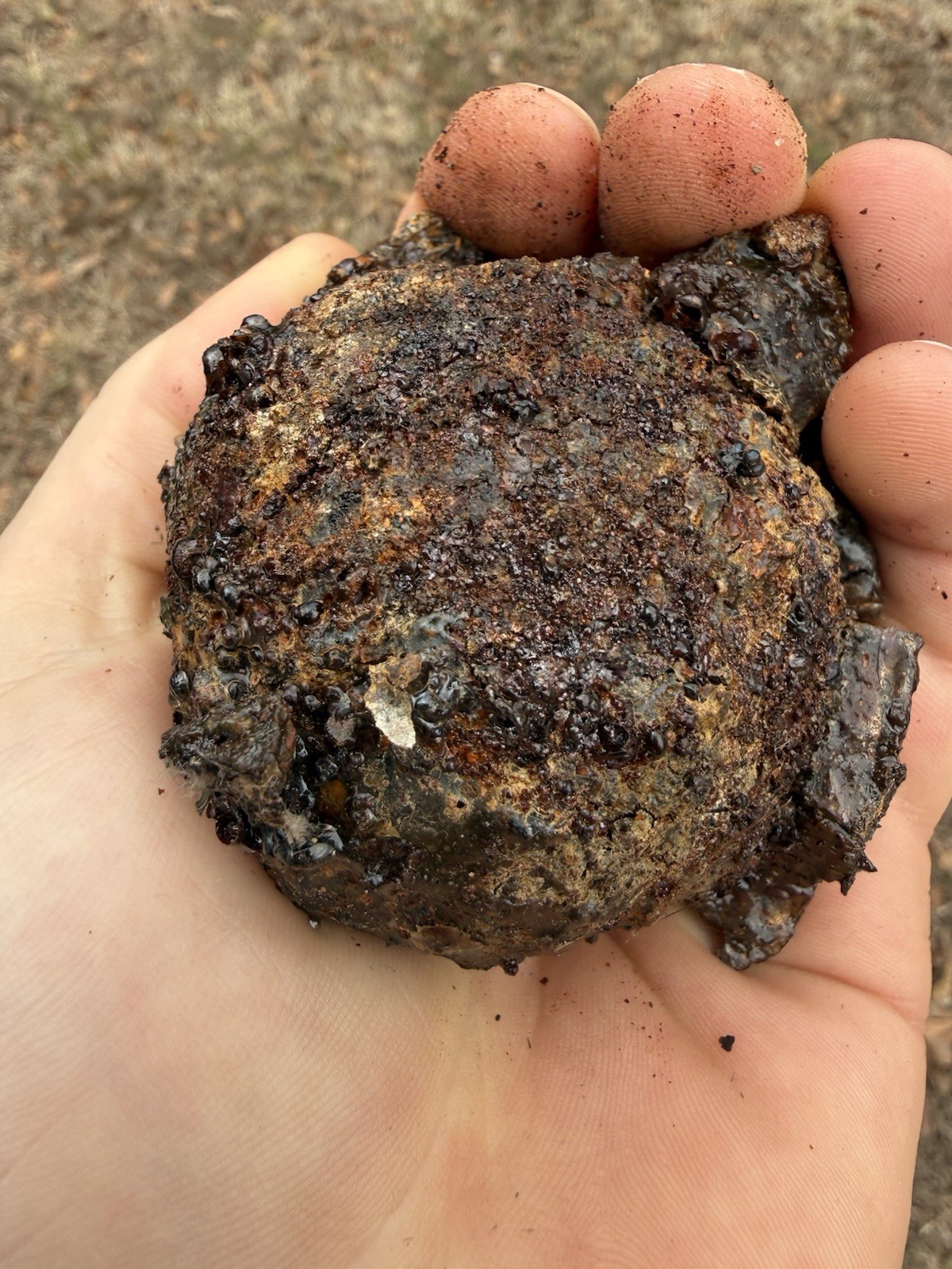 1715 Treasure Fleet Shipwreck Recovered Small Iron Cannonball - Encrusted