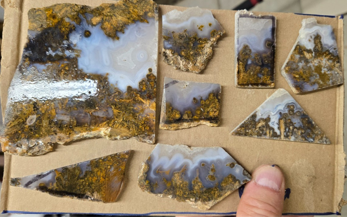 Sagenite Plume Agate Cabochon Slabs, Preforms, Slices, 8 Pcs, Flat 35