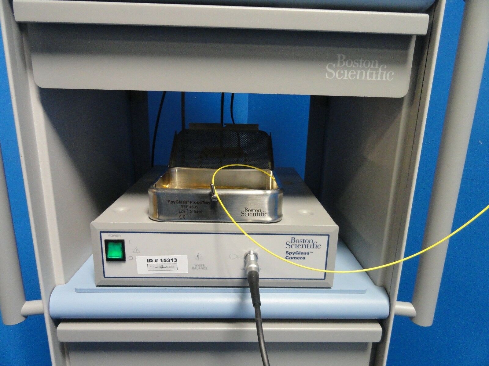 2011 Boston Scientific Spyglass Direct Visualization ~15313