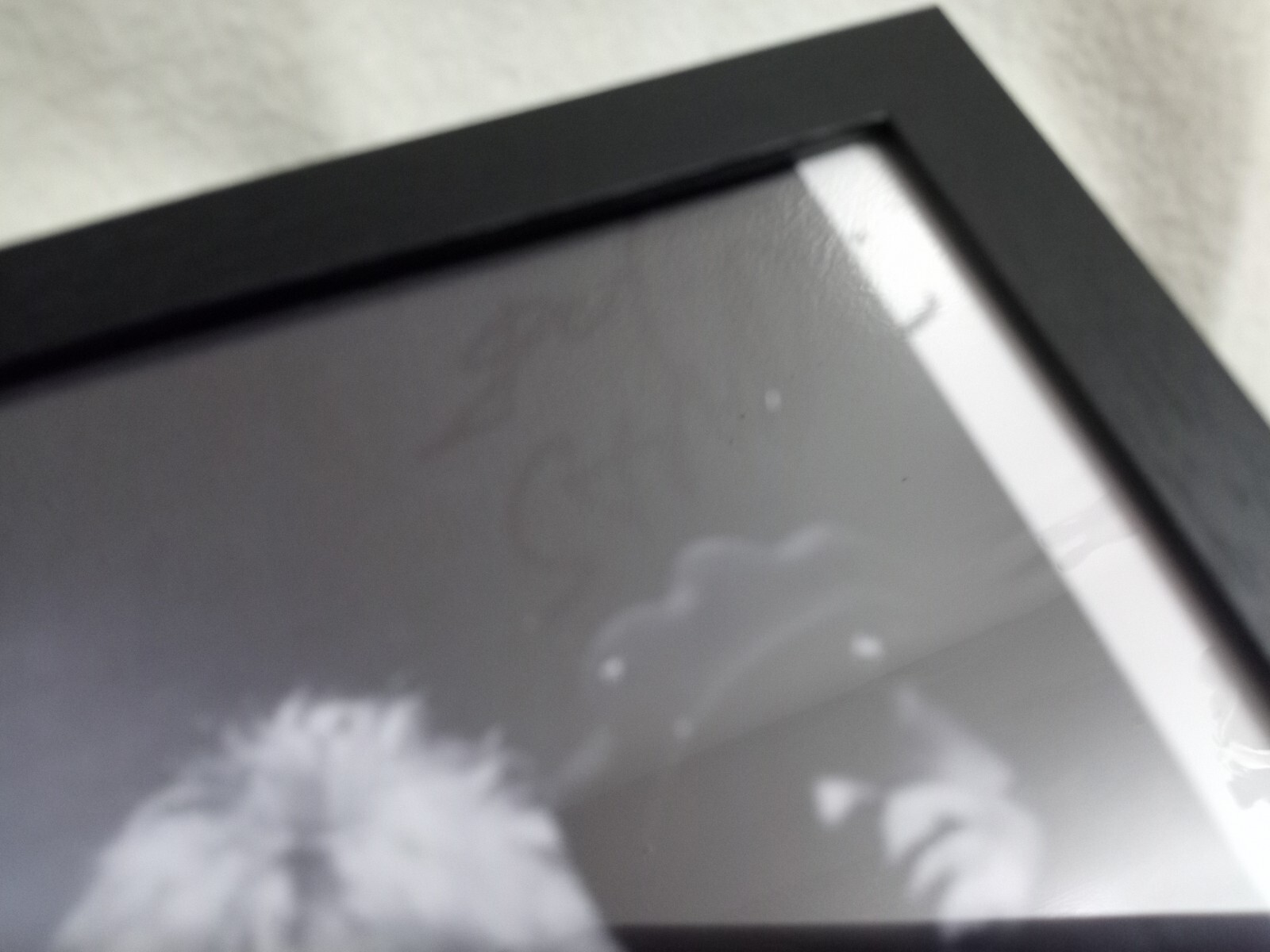 Framed Guns N' Roses band SIGNED reprint 8x10 Photo Autographed Free Shipping