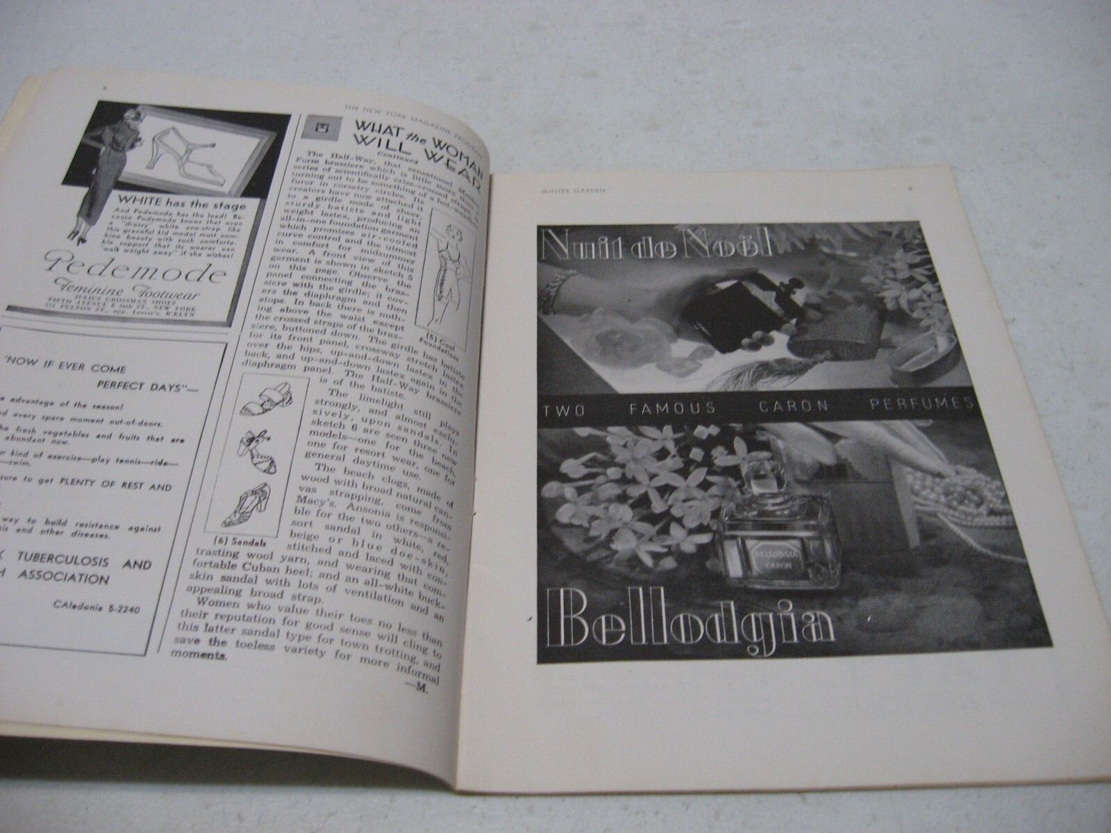 1934 Winter Garden Theatre Playbill Ziegfeld Follies Glorifying American Girl