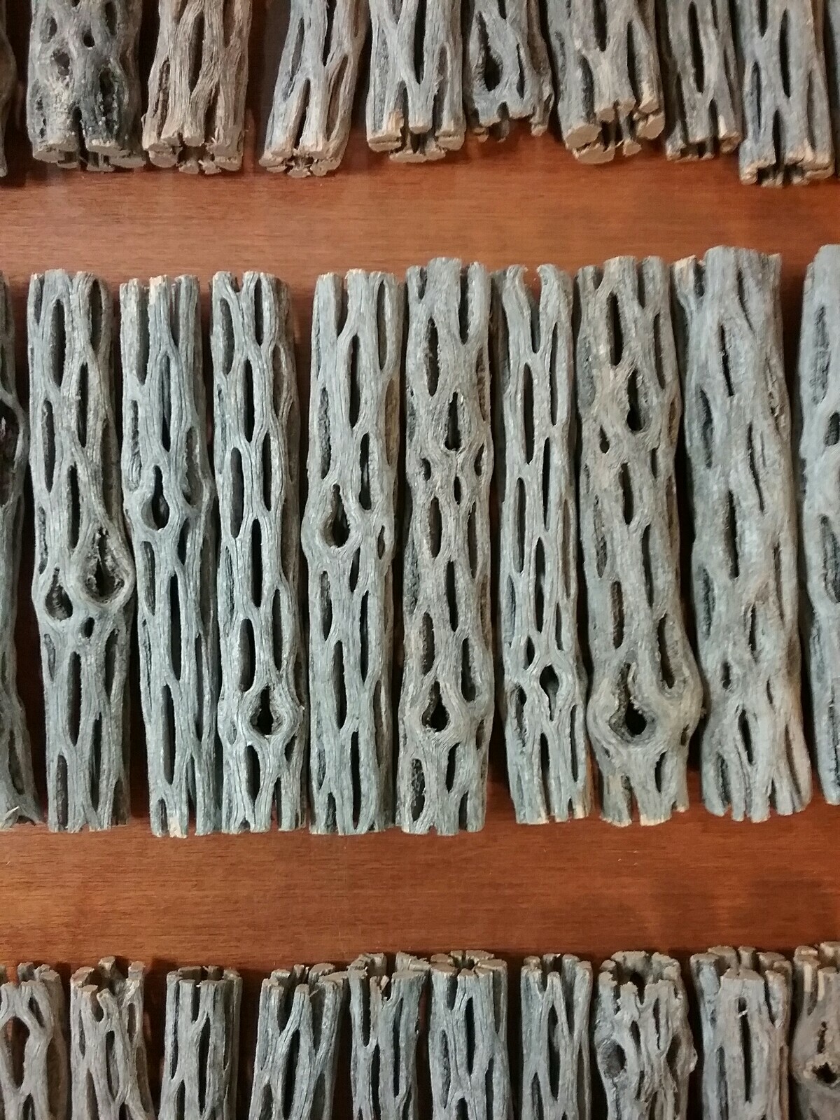 NEW 30 pcs CHOLLA Wood | 3 Sizes Multi-Pack | Organic Driftwood | Craft Aquarium