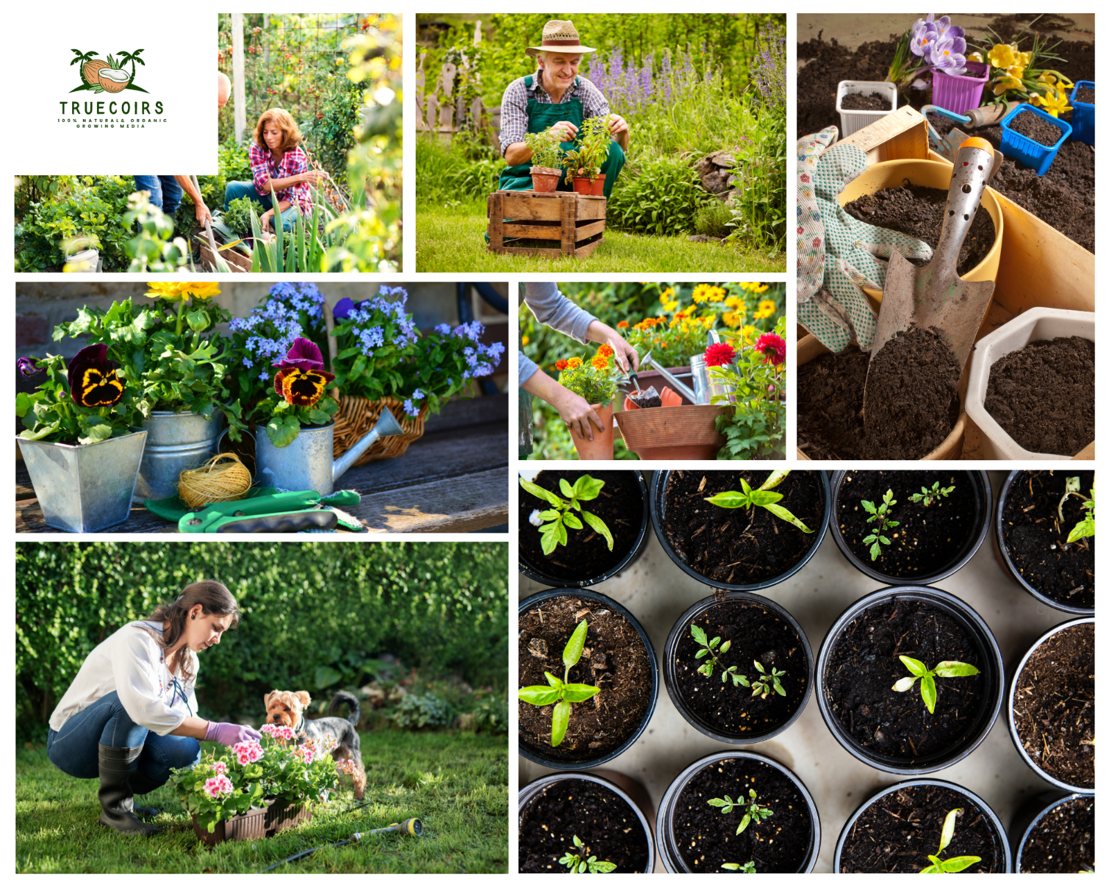 10LB/1.4LB CocoCoir Brick Coconut Fiber Potting Soil Plant Organic Growing Media