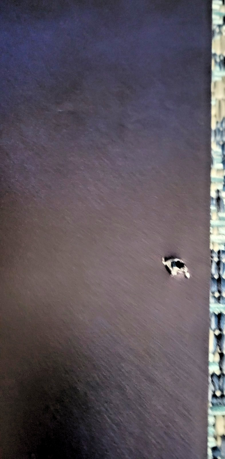 Lady Gaga Giant Promo Poster From House Of Gucci Movie - 48" X 70" Rare