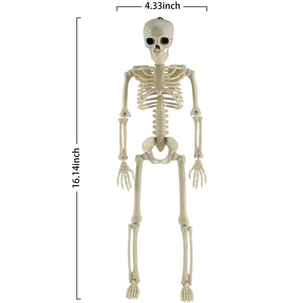 Halloween Human Skeleton Oversized Poseable Size Life Decoration Party Prop 41cm