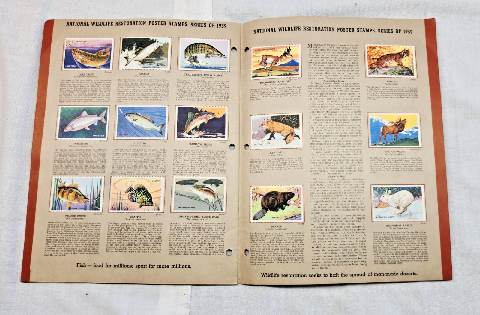 1939 National Wildlife Federation Restoration Poster Stamp Album complete
