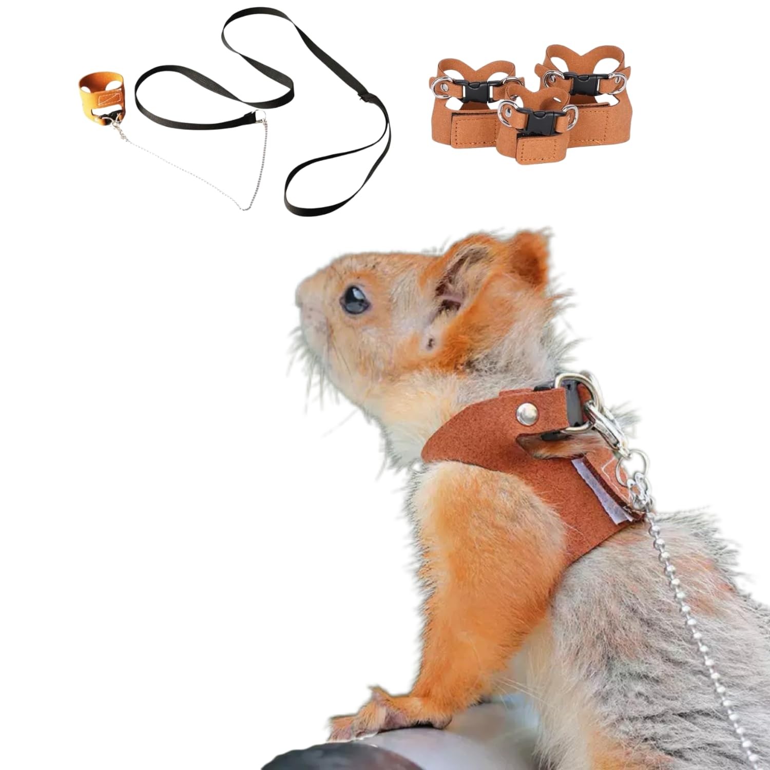 3 Pack Squirrel Harness and Lesh Set Adjustable Leather and Traction Rope Strap